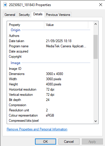 Windows file properties Details tab for the original JPG showing Date Taken, Program name, and image properties