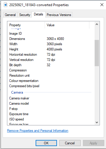 Windows file properties Details tab for the converted AVIF file showing empty camera and date fields